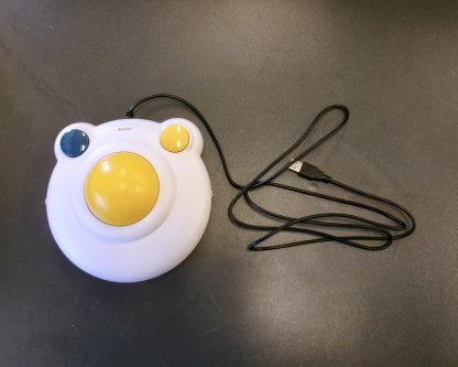 Large Computer Mouse