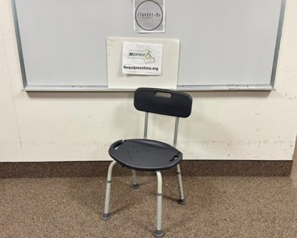 Shower Chair with back