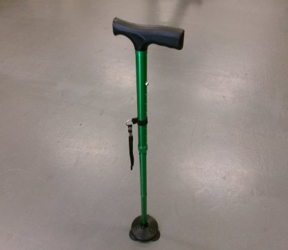 honeybull cane standing up