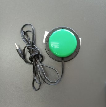 green single button switch