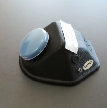Blue button switch