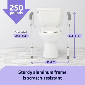 TOILET SAFETY FRAME