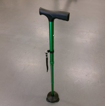 honeybull cane standing up