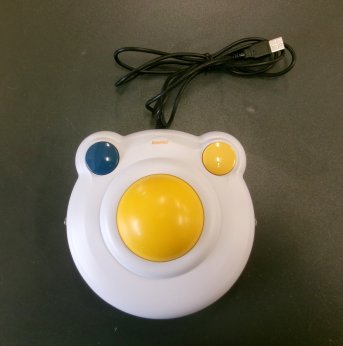 Large Computer Mouse